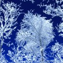 추억만들기 이미지