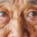 효안과빌딩 이미지