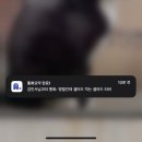 올맘도서관 | 피곤핑의 일상을 구경해보세요~