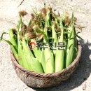 가래울농장 Daum카페