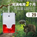 비둘기밧데리