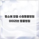 아이러브 동물병원 | 평소에 찾을 수원동물병원 아이러브 동물병원