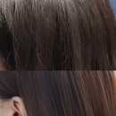 빛나는 헤어