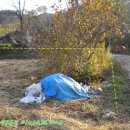 덕산 양계 이미지