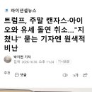 트럼프, 주말 캔자스·아이오와 유세 돌연 취소…"지쳤냐" 묻는 기자엔 원색적 비난 이미지