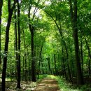 관악경희한의원 이미지