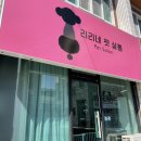 리리 펫살롱 | 대전 중리동 &#39;리리네펫살롱&#39;에서 포메 곰돌이 가위컷 성공적🐻💕