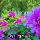 오늘은 이미지