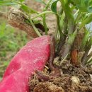 (주)큰집 이미지