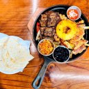 타코바이트 이미지