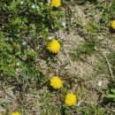 용우농장 이미지