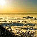 아리산 이미지