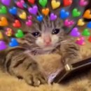 이화택시 | 이화여대 25-여름 계절 중국 단기파견 후기 | 절강대학교(Zhejiang University)