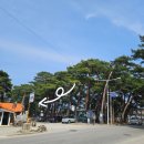 초당한솔순두부 감나무집