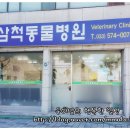 삼척동물병원