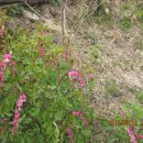 무장농장 이미지