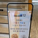 열두달, 예쁨 | 밀양 "카페 열두달" 후기!