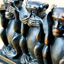 고집불통 이미지