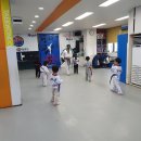 효경희대석사태권도 이미지