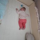 종달차경(메리골드) | [D+204~227] 웃음 가득한 일상｜내생일_첫 외박｜교회일상｜첫 엎드려자기｜모자가 잘어울리는아기