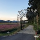 버스정류소_주공 3 4단지 | 고령 어북실 코스모스 단지 | 대구 근교 코스모스 명소 | 주차·포토존·즐길거리 후기