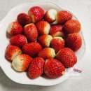 달콤,한 상자 | 코스트코 딸기 시즌 시작 킹스베리부터 딸기 1kg 한상자까지 솔직 후기