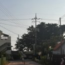 해솔누리 이미지