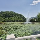 한돈참숯꼬기부곡점 이미지