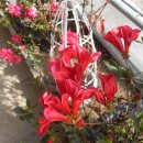 산정농원 이미지