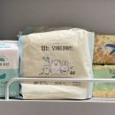 팬티형 생리대 추천 꿈꾸는 고래 입는 오버나이트 흡수력 후기