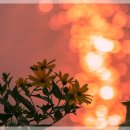 사등운동장 이미지