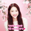 마이딩고 이미지