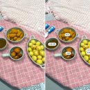 댕마카세 네이버블로그