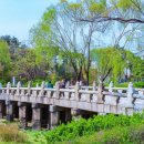 장충단공원 이미지