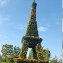 국화공원 이미지