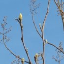 한자(서예)교실 이미지