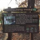 행정 | [남원여행] 서어나무 숲 가시려는 분은 꼭 확인하세요~! (상세위치, 솔직후기)