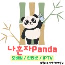 갤럭시 Z플립5 색상 가격 스펙 사용후기
