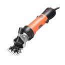 전동목장 이미지