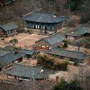 북두칠성반점 이미지