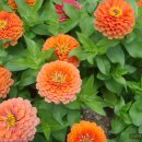 춘천호반체육관 이미지