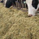 대야곱목장 이미지