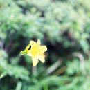 노브랜드 강서 마곡점 이미지