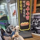남망길 | 🐶 통영 애견동반여행! 통영중앙시장 간식 옥수수빵+꿀빵까지 먹고 힐링하고 왔어요🍞🐾