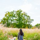 청라 해변공원 바이크파크 | 영종도 씨사이드파크 캠핑장 주차장 애견동반 후기