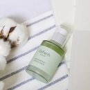 리프레쉬독 이미지