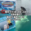 씨월드 | 거제도 여행 필수코스 거제씨월드 벨루가 클래스 2인권 솔직후기