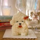 견공상회 이미지