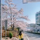 [11/27] 간단히 배우는 스마트폰 사진촬영 | 콜로소 쉽게 배우는 사진 촬영과 색감 보정 강의 후기
