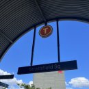 시드니약국 이미지